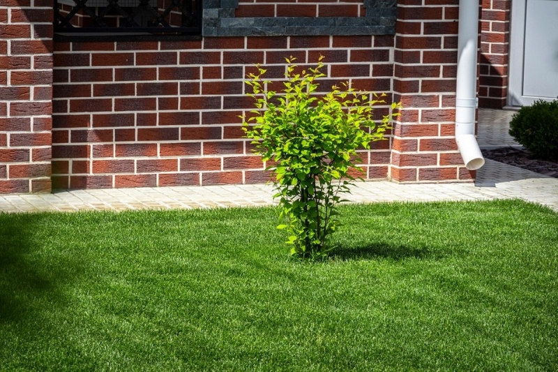 Как правильно сделать отмостку вокруг дома: инструкция по шагам, советы и фото